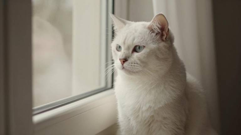 北京今年 AI 产业规模有望超 4500 亿元