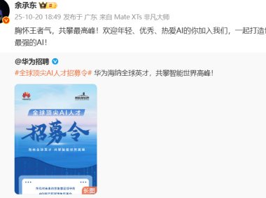 华为AI人才招募计划，目标世界级AI战队与大模型