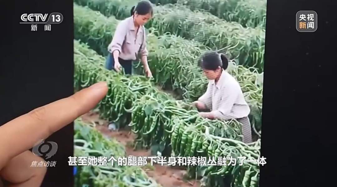 AI造假直播乱象调查：虚增农产品产量冒充品牌带货