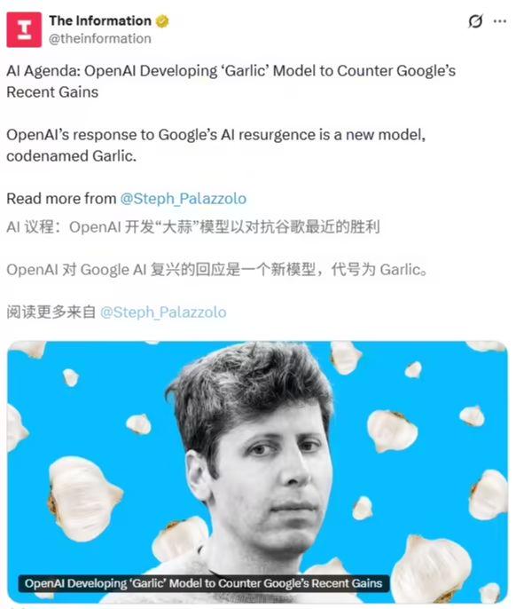 OpenAI开发全新AI大模型"大蒜"对抗谷歌Gemini 3.0