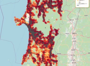 AI预测熊出没风险地图上线 覆盖日本19个地区预警人熊遭遇概率