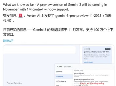 谷歌Gemini 3 Pro预览版曝光：百万Token上下文，2025年11月发布