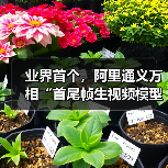 业界首个，阿里通义万相“首尾帧生视频模型”开源