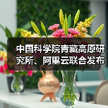 中国科学院青藏高原研究所、阿里云联合发布水能粮多模态推理大模型“洛书” 中国科学院青藏高原研究所、阿里云联合发布水能粮多模态推理大模型“洛书”