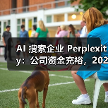 AI 搜索企业 Perplexity:公司资金充裕,2028 年前无 IPO 规划 AI 搜索企业 Perplexity:公司资金充裕,2028 年前无 IPO 规划