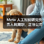 Meta 人工智能研究负责人将离职,正值公司加大 AI 投入之际 Meta 人工智能研究负责人将离职,正值公司加大 AI 投入之际