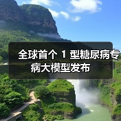 全球首个 1 型糖尿病专病大模型发布 全球首个 1 型糖尿病专病大模型发布