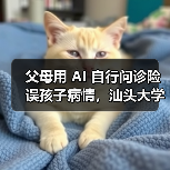 父母用 AI 自行问诊险误孩子病情,汕头大学医学院第一附属医院提醒“用药诊断应遵循专业医生意见” 父母用 AI 自行问诊险误孩子病情,汕头大学医学院第一附属医院提醒“用药诊断应遵循专业医生意见”