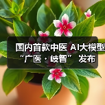 国内首款中医 AI大模型 “广医・岐智” 发布 国内首款中医 AI大模型 “广医・岐智” 发布