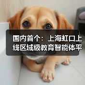 国内首个:上海虹口上线区域级教育智能体平台,老师半小时就能制作智能体 国内首个:上海虹口上线区域级教育智能体平台,老师半小时就能制作智能体