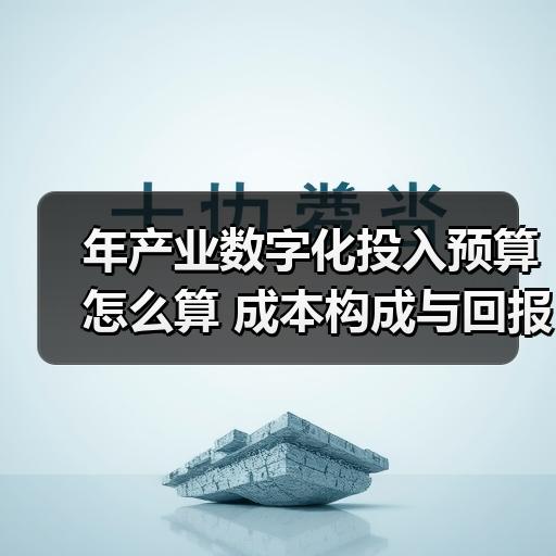年产业数字化投入预算怎么算 成本构成与回报周期分析