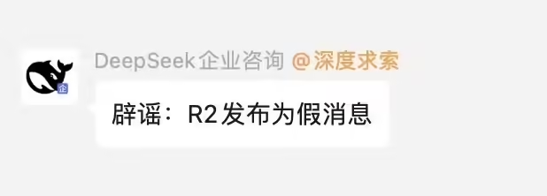 DeepSeek 官方：“R2 将在 3 月 17 日发布”为假消息