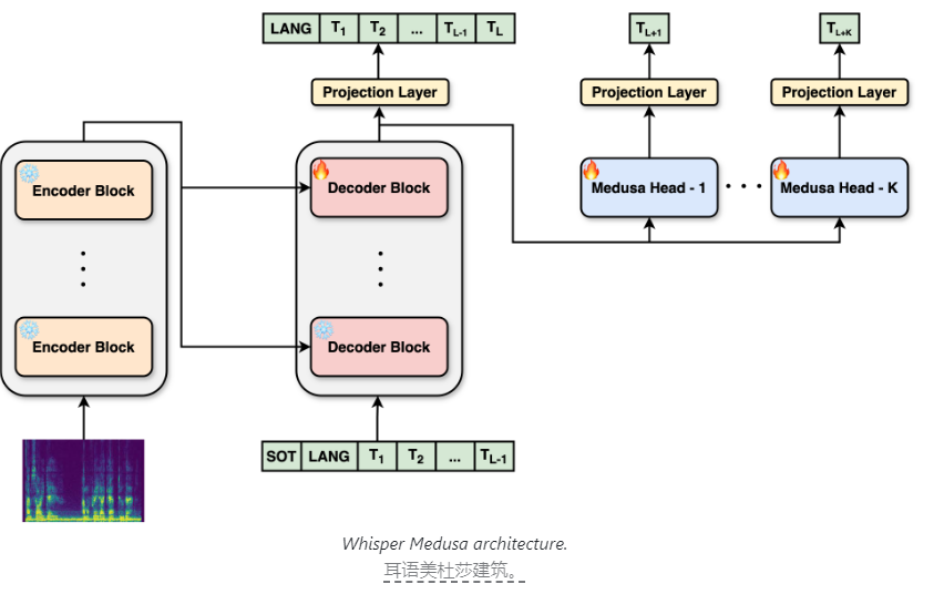 以色列公司推出速度提升50%的开源语音识别模型Whisper Medusa