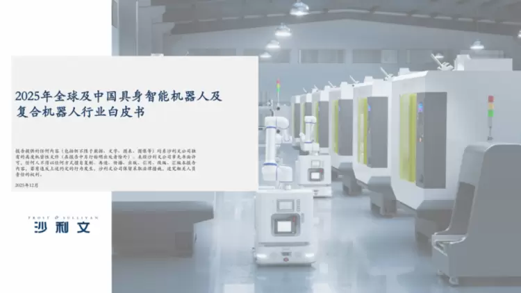 从追赶到定义：全球复合机器人产业格局与中国领跑之路