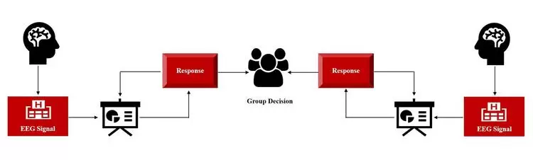 协作脑机接口如何提升群体决策效率 协作脑机接口如何提升群体决策效率
