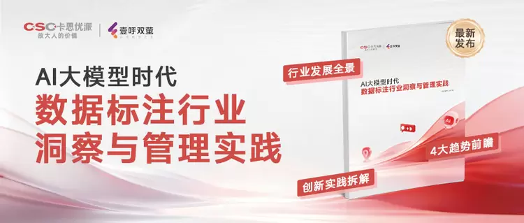 AI大模型时代数据标注：趋势、转型与行业实践