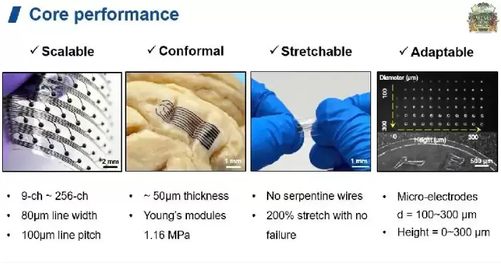 脑机接口蓬勃发展成果转化加速，微美全息深耕脑机+量子领域领跑新兴赛道！