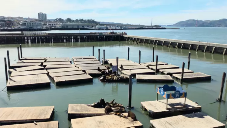 光影定格旅途记忆:三星Galaxy影像旗舰漫游旧金山 光影定格旅途记忆:三星Galaxy影像旗舰漫游旧金山