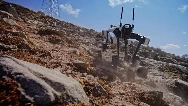 智能机器人量产新标杆:场景落地与技术突破并行 智能机器人量产新标杆:场景落地与技术突破并行